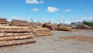 Австрийская компания покупает Коростенский завод по производству ламината