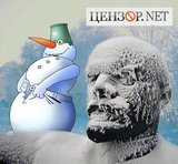 Зимняя альтернатива голубям