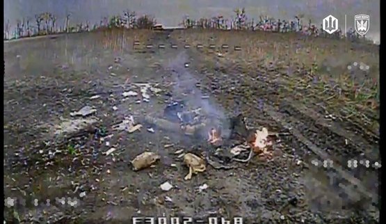 Оператори дронів Птахів Мадяра підсмажили окупанта серед поля ударним безпілотником