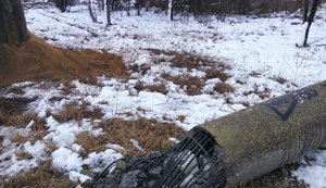 В результате непогоды на Одесчине повреждены 1100 опор ЛЭП, - ОГА