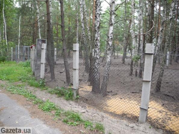Цензор.НЕТ Изображение