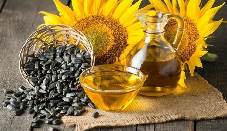 Соняшник в Україні дорожчає швидше, ніж олія: які наслідки?