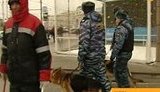 В центре Москвы ОМОН, усиленные патрули и Внутренние войска: "Дурдом какой-то!". ВИДЕО.