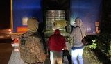 СБУ пресекла масштабный канал поставки продуктов питания в "ДНР". ФОТОрепортаж
