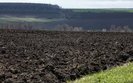 Что обещают партии относительно рынка земли в своих программах