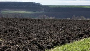 Farmland sale moratorium extended by Poroshenko