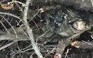 A Russian killed in Kharkiv region