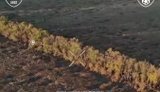 Assault on enemy positions in the Sumy direction