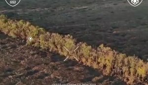 Украинские военные заминировали лесополосу с оккупантами и провели штурм при поддержке БПЛА. ВИДЕО