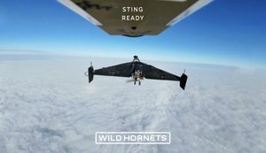 Збиття шахедів перехоплювачем Sting