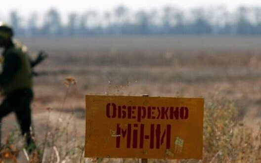 Кабмін змінив порядок використання коштів на розмінування сільгоспземель