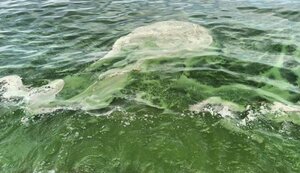 море,пляж,одеса