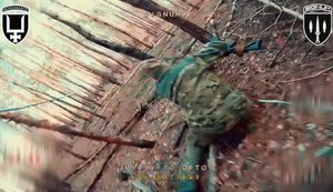 Бойцы батальона SIGNUM ликвидировали 5 рашистов в лесу на Лиманском направлении. ВИДЕО