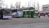 автобусы