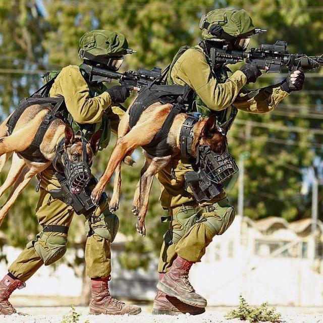 Weapon smarter than man 01 Weapon smarter than man 01