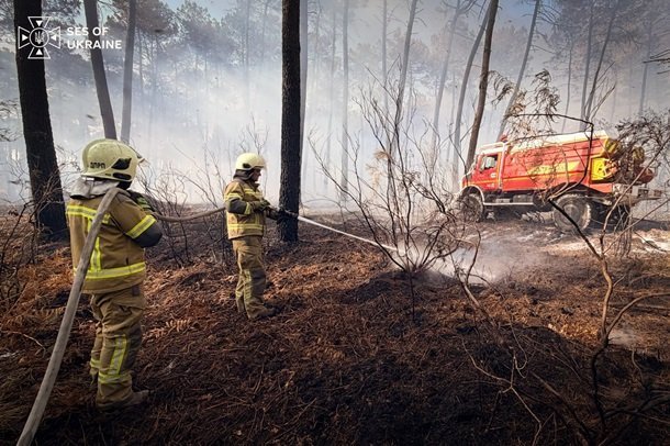 Ліквідація пожежі у Франції українськми ДСНС