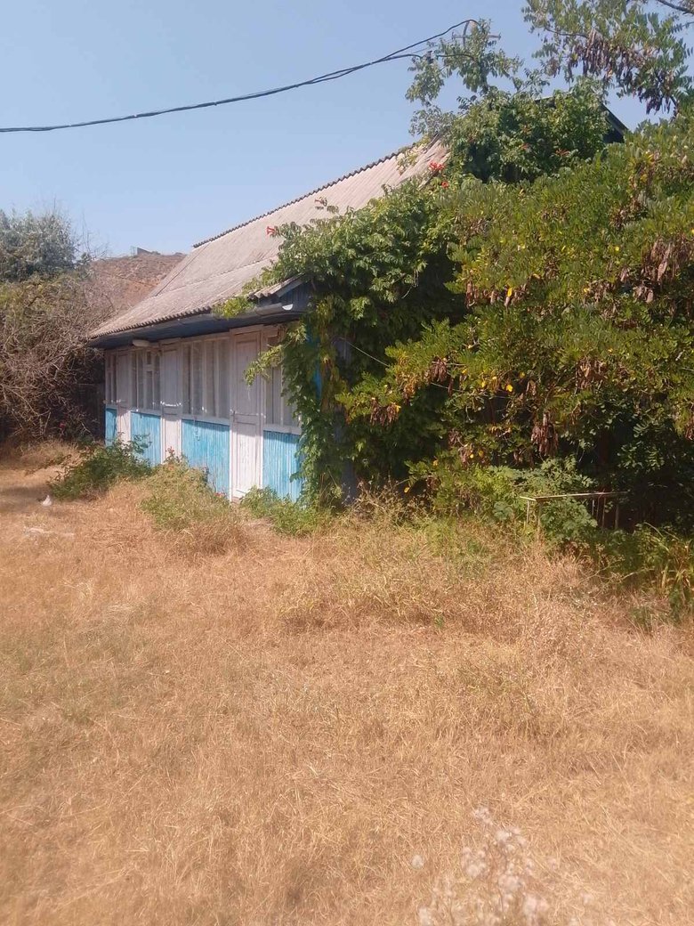 Фонд держмайна продав занедбану базу відпочинку на Одещині