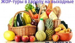 РОСМЕДВЕД-ТУР предлагает :