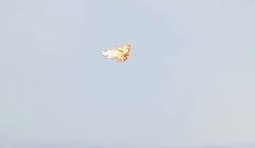 Бійці Сил оборони уразили Шахед у повітрі