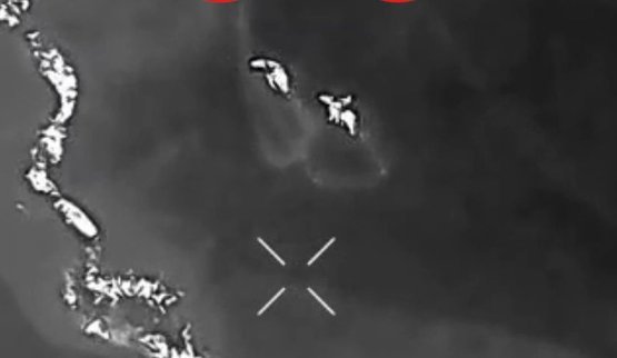 знищення штурмовиків кавалеристів