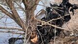 харківщина