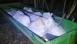 Трое украинцев на двух подводах везли в Беларусь 800 килограммов сала, - ГПСУ. ФОТОрепортаж