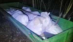 Трое украинцев на двух подводах везли в Беларусь 800 килограммов сала, - ГПСУ. ФОТОрепортаж