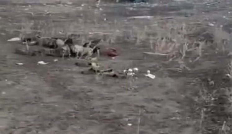 "Жаль, у этого вообще ногу оторвало": рашисти фільмують ліквідованих поплічників, розкиданих узбіччям дороги. ВIДЕО 18+