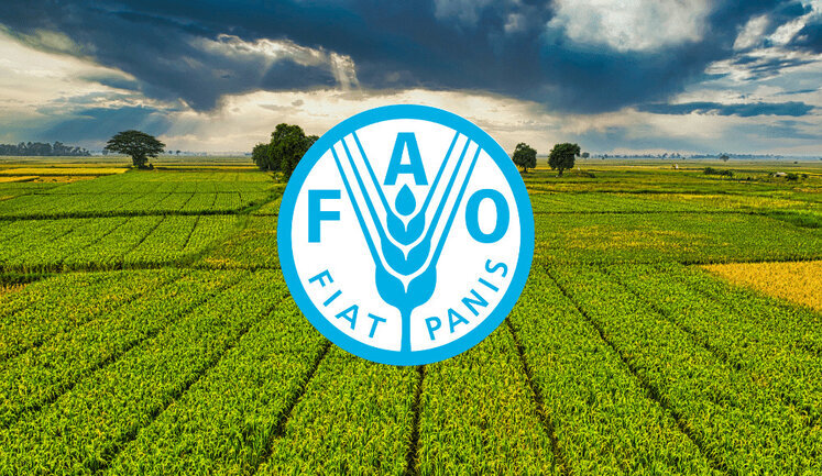 Україну обрали до Ради Продовольчої організації ООН