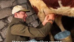 ...можно заняться любимым делом...
