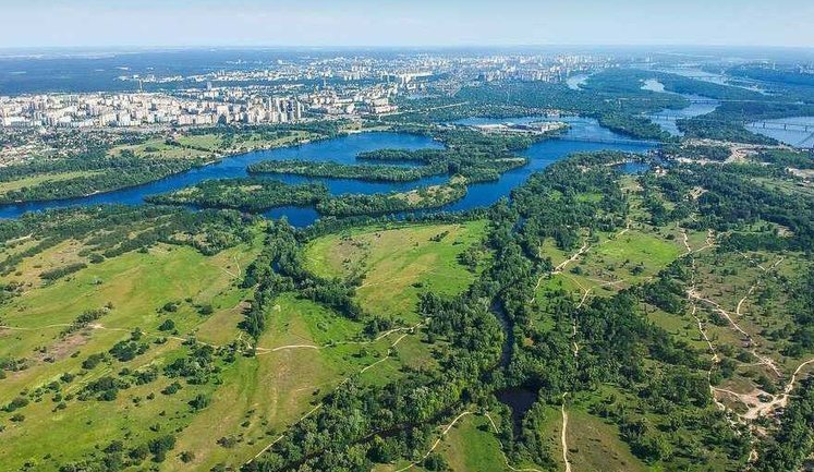 Через заказник "Осокорківські луки" в Києві хочуть прокласти дорогу до житлового комплексу, - прокуратура. ФОТО