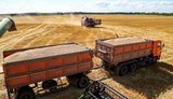 В Україні зросли ставки на перевезення агропродукції автотранспортом