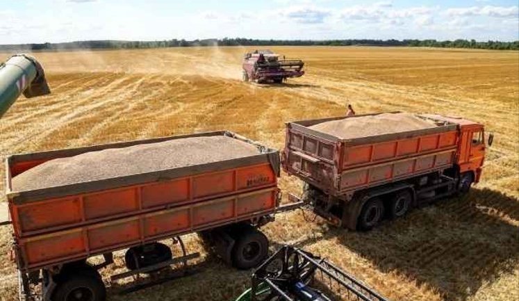 В Україні зросли ставки на перевезення агропродукції автотранспортом
