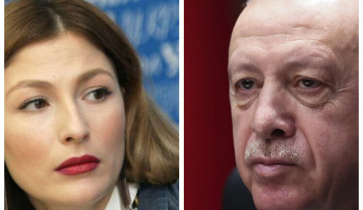 Erdogan’s statements about slowing down Ukraine’s accession to EU are internal politics,- Dzhaparova