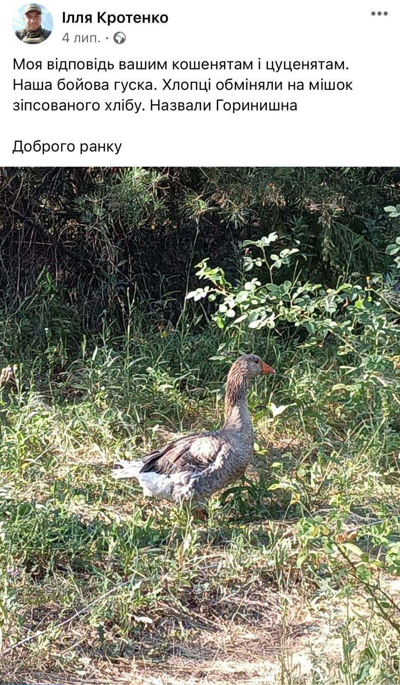 Ілля Кротенко: З огляду на всю лють і ненависть українського народу до росіян, сьогодні будь-які слова про смерть російського окупанта вселяють позитивні відчуття 03 Ілля Кротенко: З огляду на всю лють і ненависть українського народу до росіян, сьогодні будь-які слова про смерть російського окупанта вселяють позитивні відчуття 03