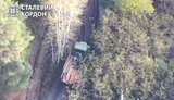 война