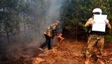 В результате применения наемниками РФ запрещенных артиллерийских систем 152 калибра горело 15 гектаров леса под Северодонецком, - ООС. ФОТОрепортаж