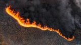 Гасіння пожежі під Чорнобилем триває 9-ту добу: на лівому березі Прип