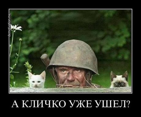 кличко фотожабы