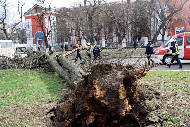 У Миколаєві дерево впало на маршрутку, троє потерпілих, - ДСНС 04