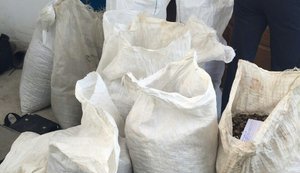340 кг камней, внешне похожих на янтарь, изъяты в ходе спецоперации на Житомирщине, - ГПУ. ФОТОрепортаж
