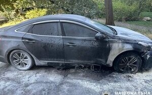Двоє чоловіків підпалили авто активістки у Києві