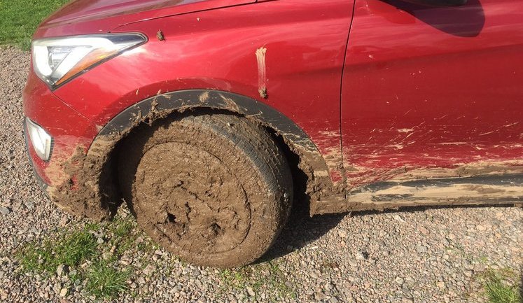 Canada ambassador Waschuk got stuck in Cherkasy region. PHOTO