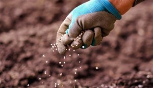 Ситуація з добривами в Україні: імпорт зростає, проте дефіцит залишається суттєвим, ‒ аналітики