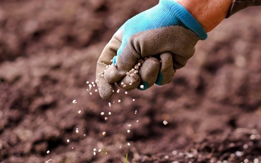 Ситуація з добривами в Україні: імпорт зростає, проте дефіцит залишається суттєвим, ‒ аналітики