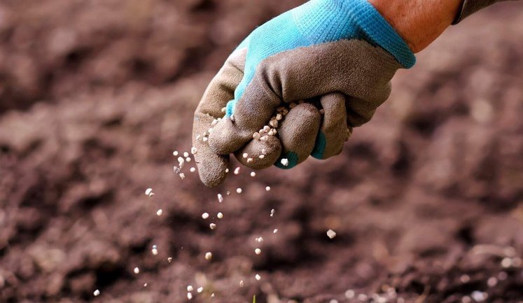 Ситуація з добривами в Україні: імпорт зростає, проте дефіцит залишається суттєвим, ‒ аналітики