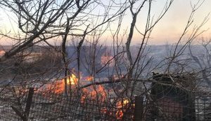 Оккупанты в течение 2 часов наугад обстреливали Каменское, что на Запорожье. Пострадали мирные жители. ФОТО