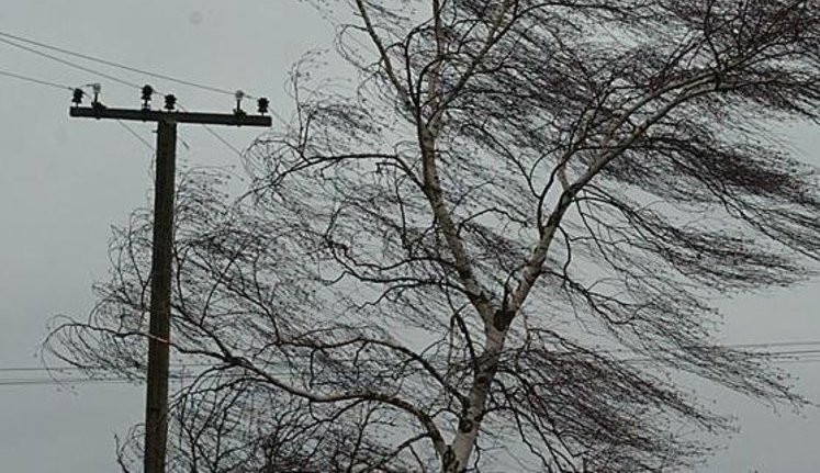 Over 100 towns and villages in Ukraine left without electricity due to bad weather