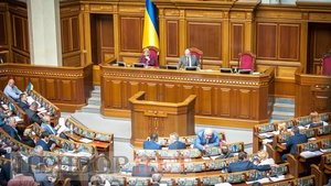 Рада урегулировала вопросы контроля безопасности и качества пищевых продуктов (обновлено)