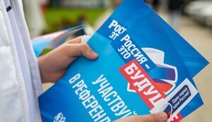 псевдореферендум